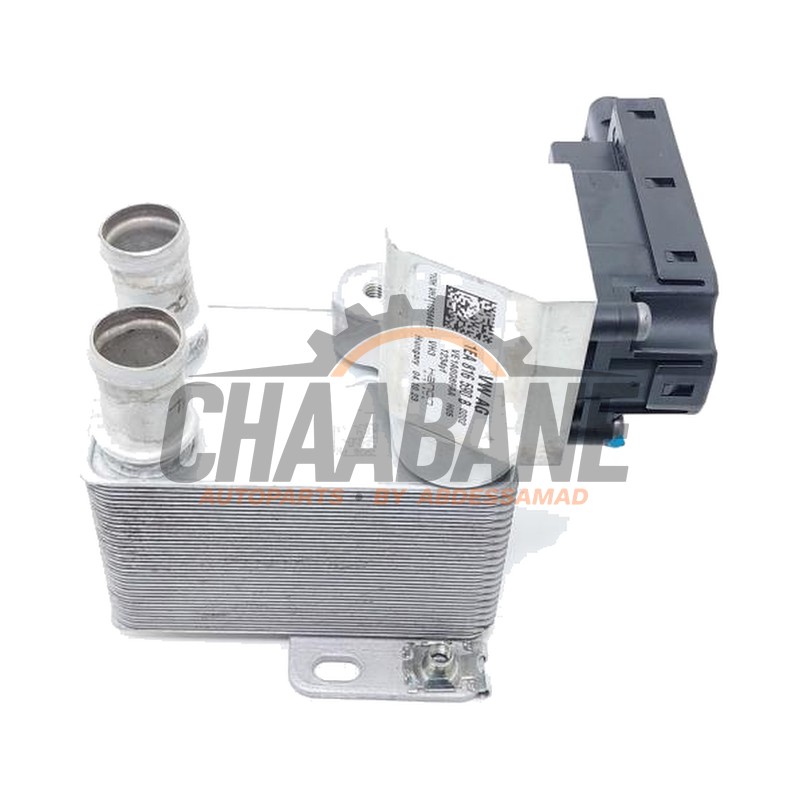 Echangeur de chaleur 1EA816114 Skoda Enyaq iV 85 2021