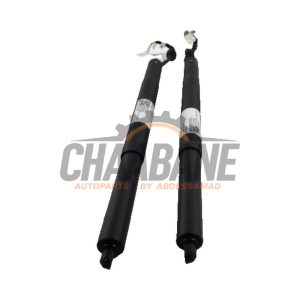Coffre moteur 9275119 BMW X5 2018