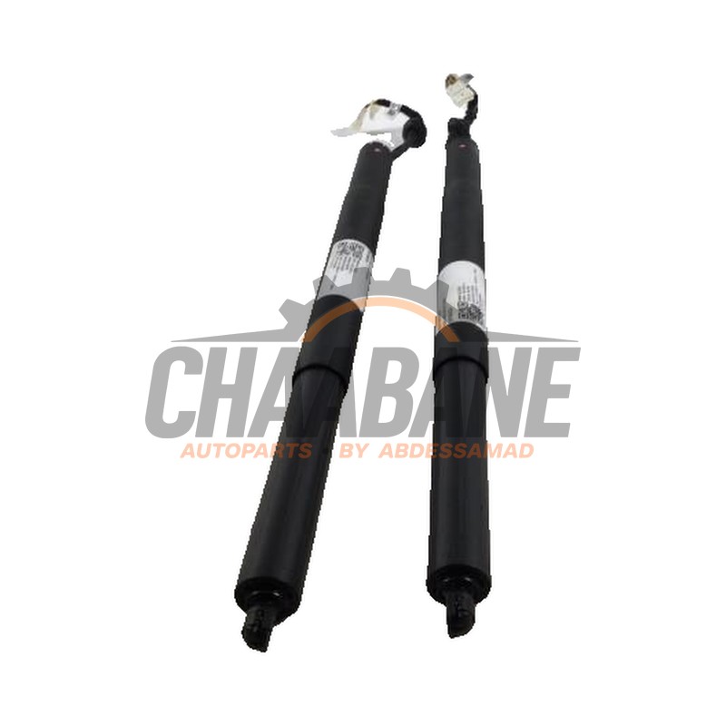 Coffre moteur 9275119 BMW X5 2018