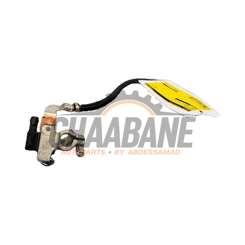 Borne de batterie 61219117877 BMW 3 serie Touring (F31) 335d xDrive 3.0 24V 2012 / 2019