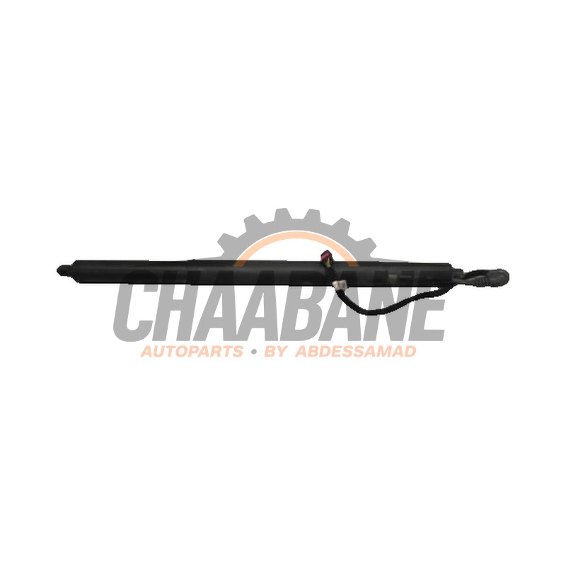 Amortisseur a gaz arriere gauche 83A827851D Audi Q3 2018