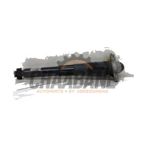 Amortisseur arriere gauche 1EA513049AH Audi Q4 Sportback (4FN) 40 e-tron 2021