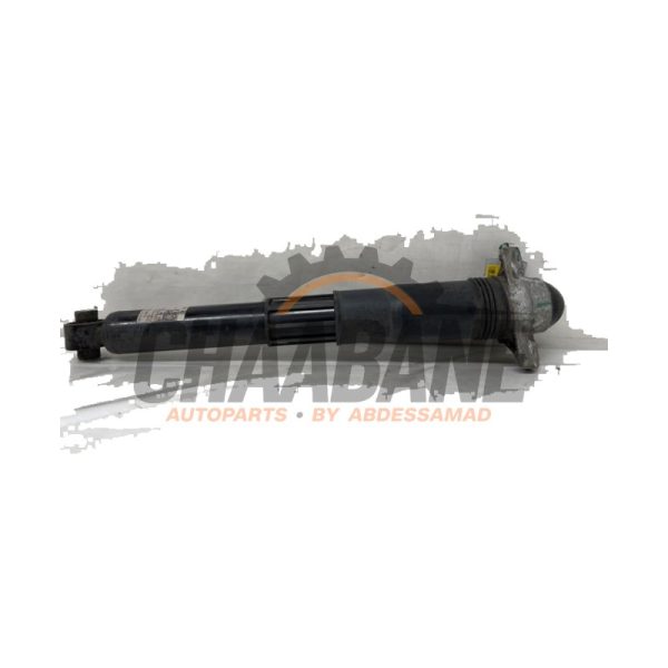 Amortisseur arriere gauche 1EA513049AH Audi Q4 Sportback (4FN) 40 e-tron 2021
