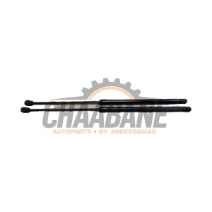 Verin de coffre 657827551A Skoda Scala 1.5 TSI 2019