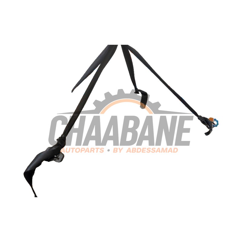 Batterie (hybride) Cupra Formentor 1.4 e-Hybrid 16V 2020 3Q0804844