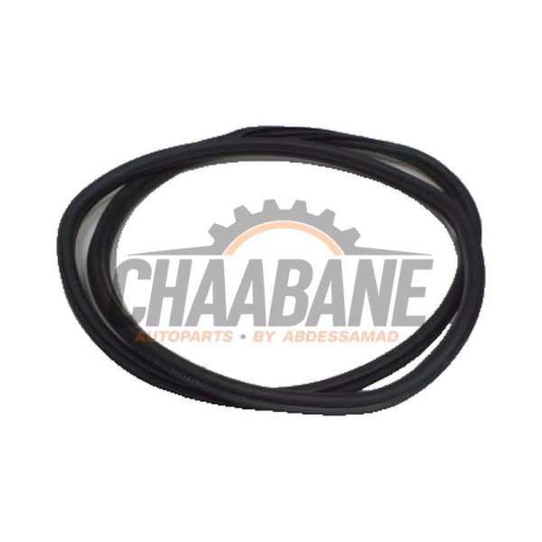 Joint caoutchouc portiere 4portes arriere droite BMW 3-Serie 2012 / 2019