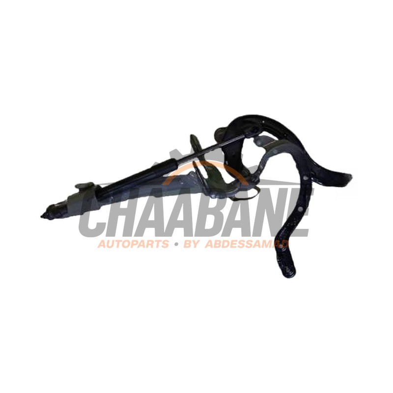 Charniere hayon 51247453412 BMW 3 serie Touring (G21) 2019