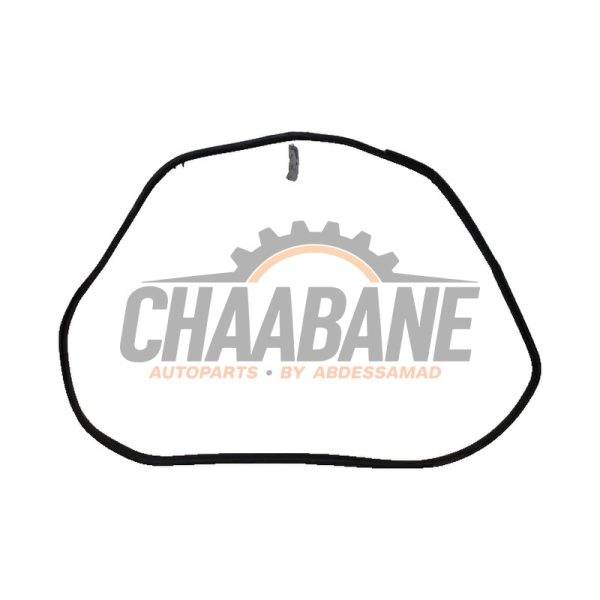 Joint caoutchouc portiere 4portes avant gauche 51767361017 BMW i3 (I01) i3s 120Ah 2013 / 2022