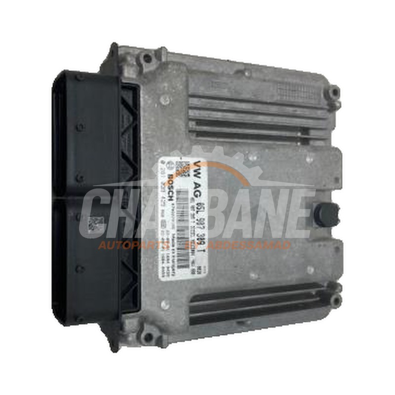 Calculateur moteur 05L907309T Seat Ateca (5FPX) 2.0 TDI SCR 2016