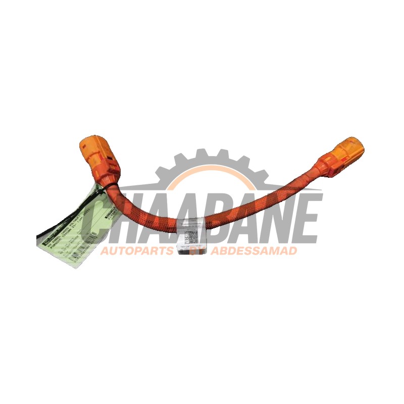Cable haute tension 9J1971061A Porsche Taycan (Y1A) 4S 2019