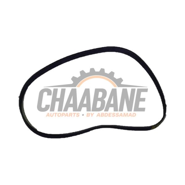 Courroie trapezoidale multiple 04L260849G Volkswagen Multivan T7 2.0 TDI SCR 16V 2021