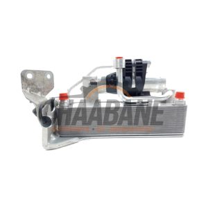 Deshydrateur clim 6450933833005 BMW 4 serie (F32) 420i 2.0 TwinPower Turbo 16V 2013 / 2020