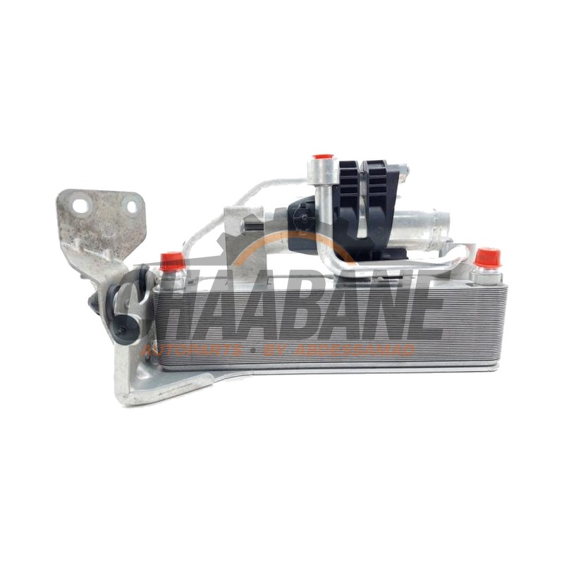 Deshydrateur clim 6450933833005 BMW 4 serie (F32) 420i 2.0 TwinPower Turbo 16V 2013 / 2020