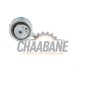 Tendeur divers 05L109243A Volkswagen Tiguan (AD1) 2.0 TDI 16V 2016 / 2024