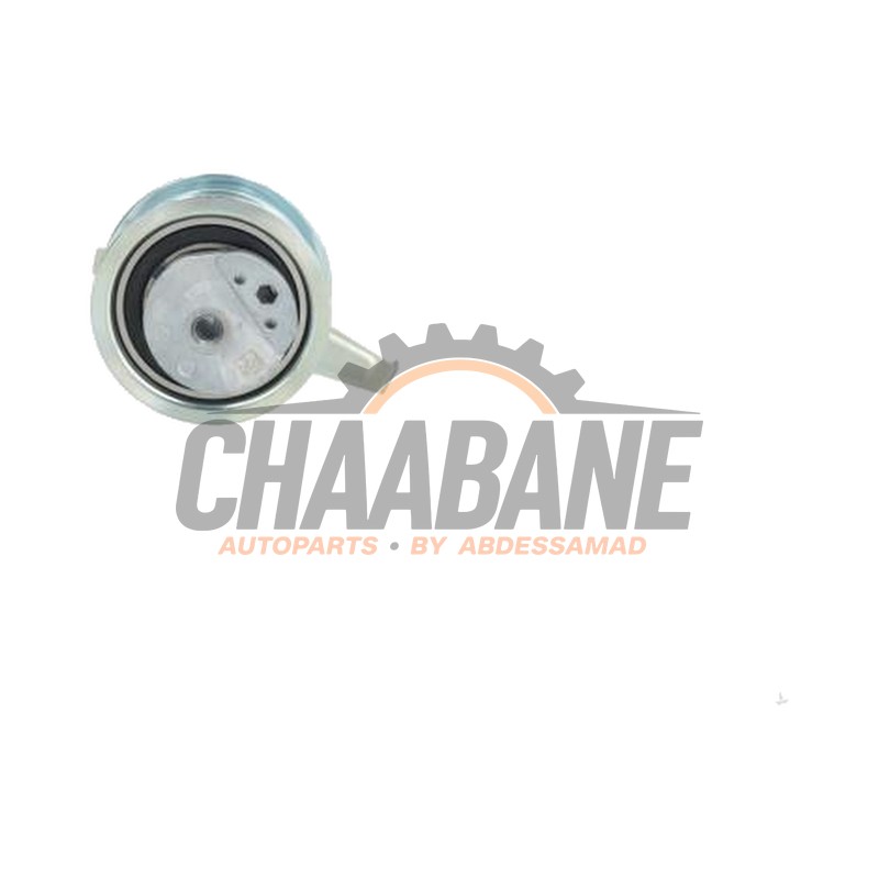 Tendeur divers 05L109243A Volkswagen Tiguan (AD1) 2.0 TDI 16V 2016 / 2024
