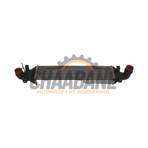 Echangeur air (Intercooler) A2465000100 Mercedes GLA