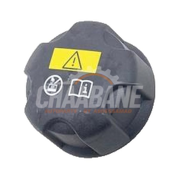 Reservoir dexpansion 7823626 BMW i3 (I01) i3 Range Extender 2013 / 2022