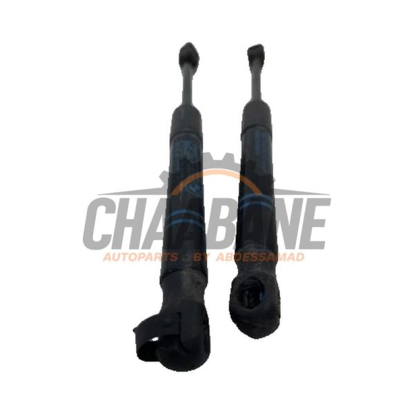 Kit amortisseur couvercle coffre 5123723923306 BMW M1 (F21) M140i 3.0 24V 2012 / 2019