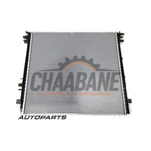 Radiateur deau 22828110 BMW 5 serie (G60) 530e 2.0 TwinPower Turbo 16V 2023