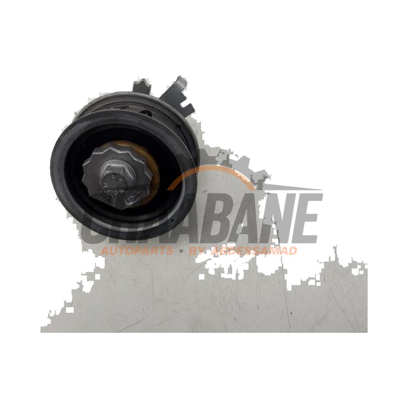 Tendeur divers 05C109479A Volkswagen Golf VIII (CD1) 1.0 eTSI 12V 2019