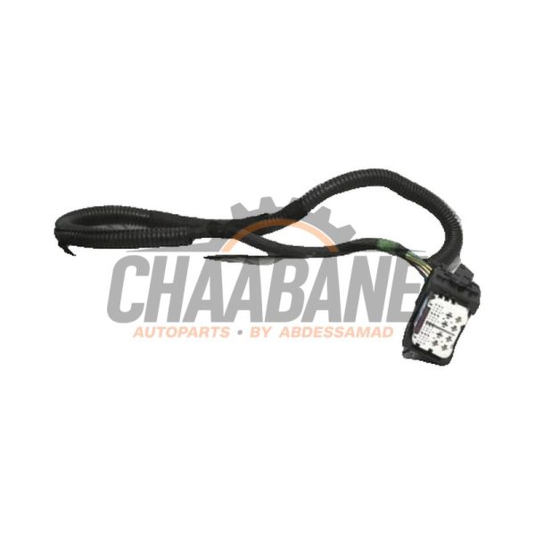 Faisceau de cables 12518678976 BMW 1 serie (F40) 118i 1.5 TwinPower 12V 2019