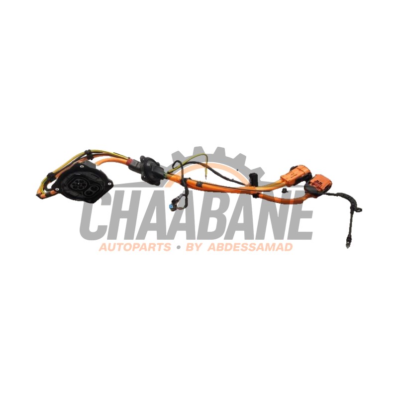 Port de chargement voiture electrique A1675407048 Mercedes GLE (V167) 350de 2.0 Turbo 16V 4-Matic