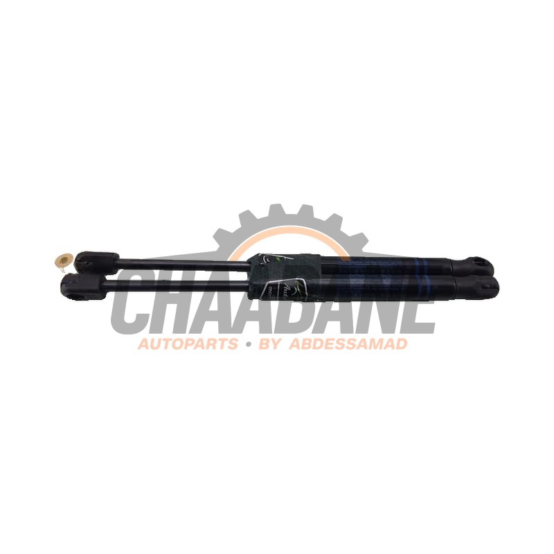 Amortisseur kit capot moteur 5123739749305 BMW X3M (F97) 3.0 TwinPower Turbo 24V Competition 2019