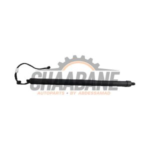 Hayon moteur T4A1144 Jaguar F-Pace 2.0 Turbo 16V AWD
