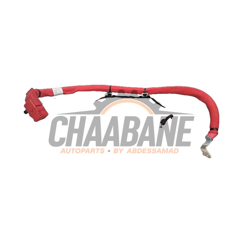 Borne de batterie 61126839821 BMW X4 (G02) M40i 3.0 TwinPower Turbo 24V Mild Hybrid 2018