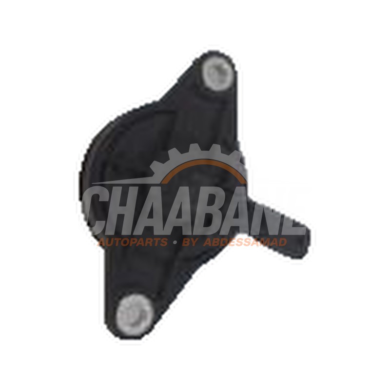 Capteur (divers) 04E906423C Seat Ateca 2016