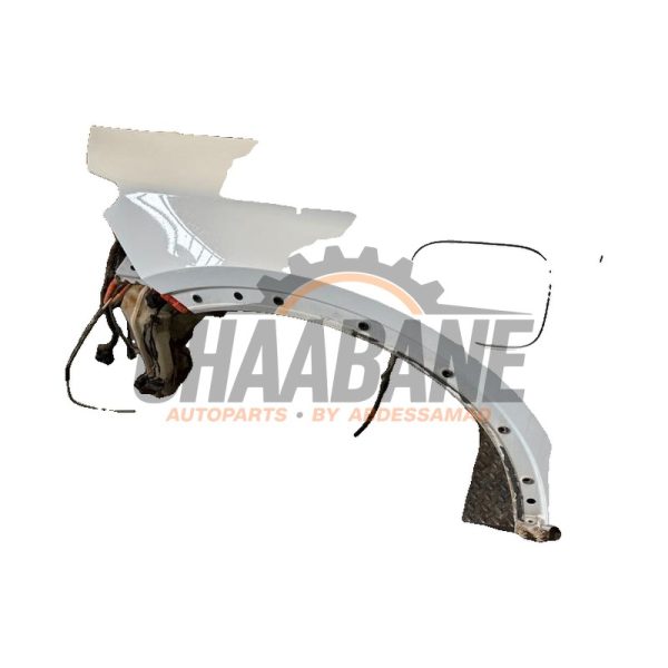 Aile avant gauche 5FF821021E Cupra Formentor 1.4 e-Hybrid VZ 16V 2020