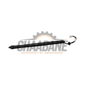 Amortisseur a gaz arriere droit HY3270354AG Landrover Discovery