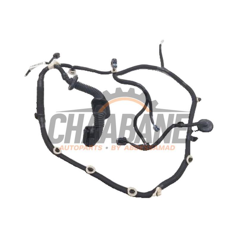 Cable (divers) 241252048R Mercedes Citan (420.6) 1.5 108 CDI