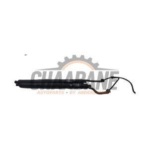 Kit amortisseur gaz hayon 4823282 BMW X5 (F15) xDrive 30d 3.0 24V 2013 / 2018