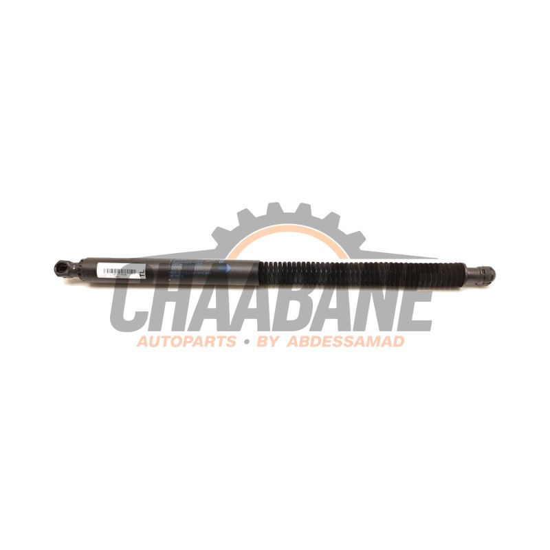 Amortisseur a gaz arriere gauche 51247497482 BMW iX3 80 kWh 2020
