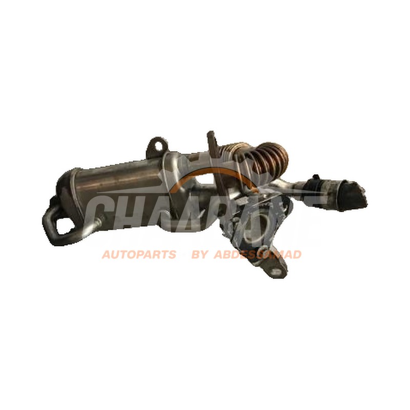 Refroidisseur RGE A6071400075 Mercedes Citan (415.6) 1.5 108 CDI