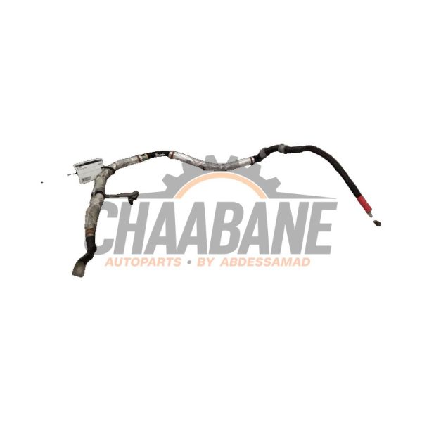 Borne de batterie BMW X5 (G05) xDrive 30d 3.0 24V 2018
