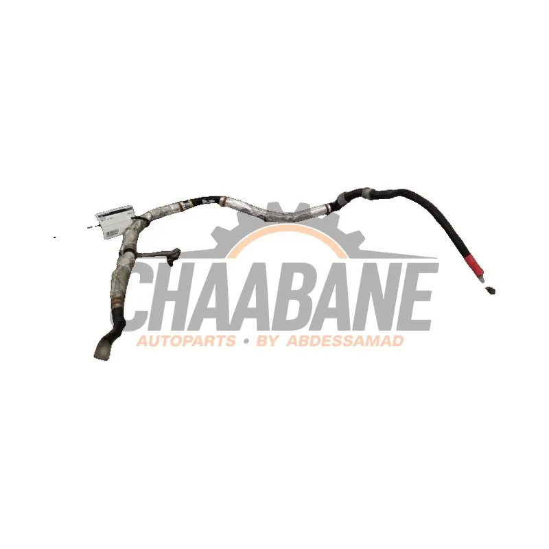 Borne de batterie BMW X5 (G05) xDrive 30d 3.0 24V 2018