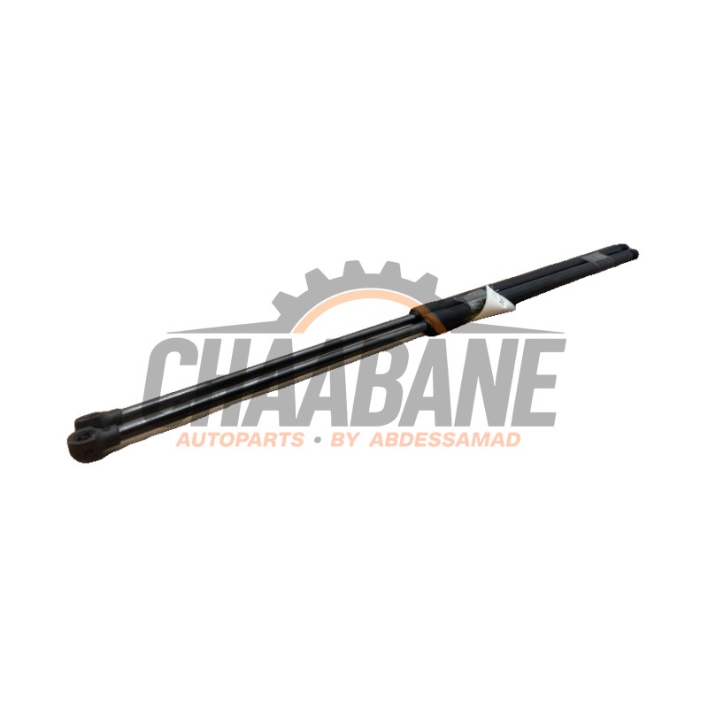 Kit amortisseur couvercle coffre A4209800200 Mercedes T (420.8) 1.5 T160 d