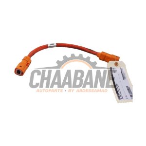 Cable haute tension 9J1971061A Audi RS e-tron GT (F83) 93 kWh 2021