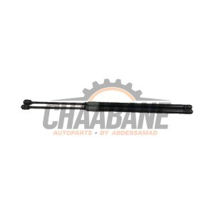 Amortisseur kit capot moteur A1729800064 Mercedes SLK