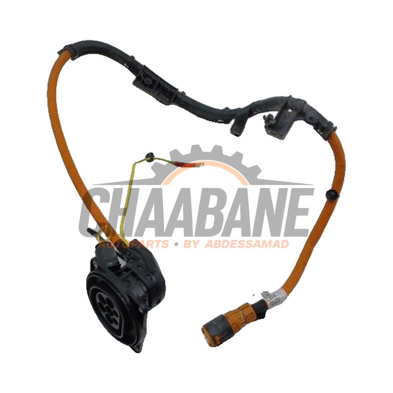 Port de chargement voiture electrique 61125A1CB00 BMW 3 serie Touring (G21) 320e xDrive 2.0 TwinPower Turbo 16V 2019