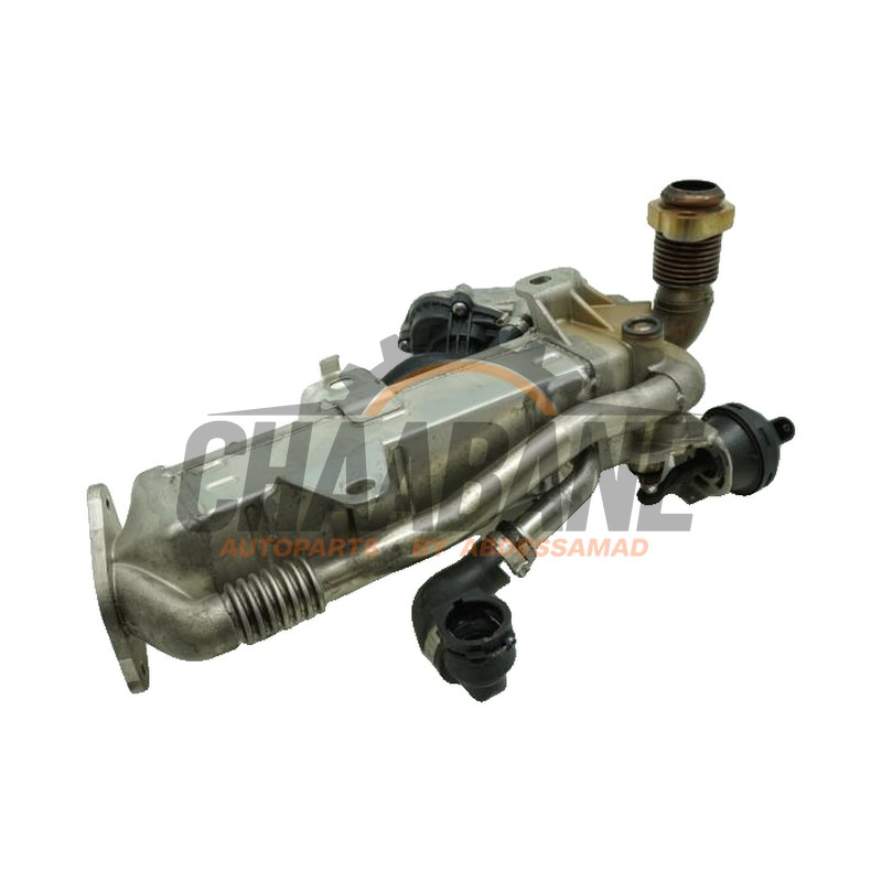 Valve RGE 8513132 BMW 4 serie (G22) 420d 2.0 16V 2020