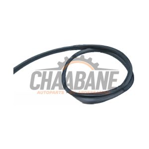 Joint caoutchouc portiere 2portes droite 51727348420 BMW M2 2015 / 2021