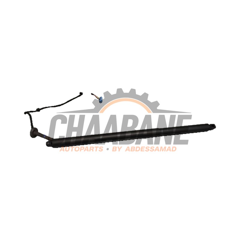 Amortisseur a gaz arriere gauche A1678901000 Mercedes GLE