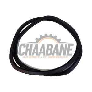 Joint caoutchouc portiere 4portes arriere gauche 10A867913C Cupra Born 58 2021