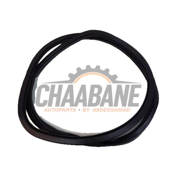 Joint caoutchouc portiere 4portes arriere gauche 10A867913C Cupra Born 58 2021