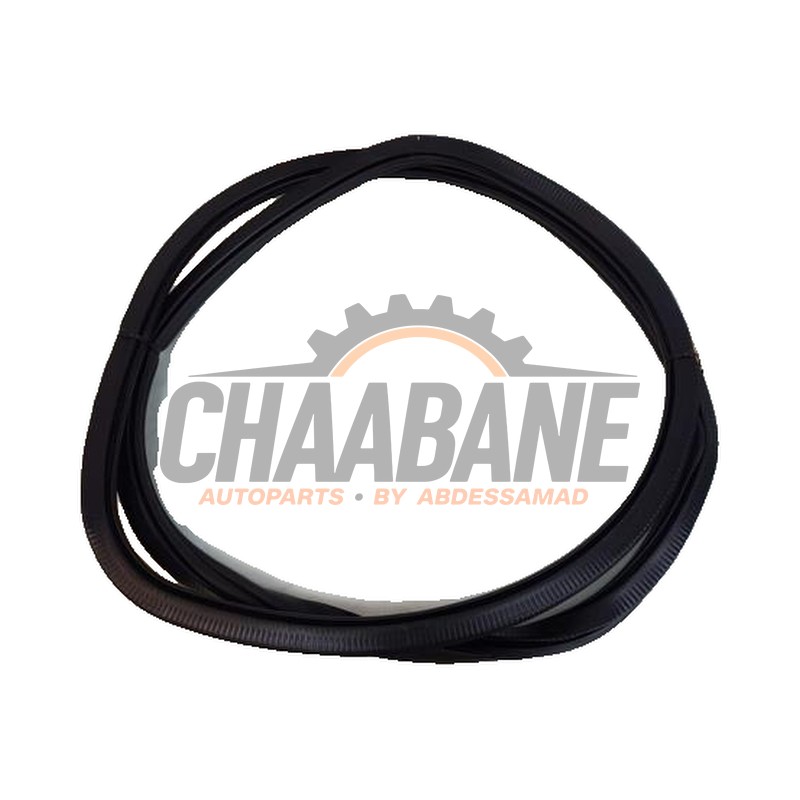 Joint caoutchouc portiere 4portes arriere gauche Cupra Born 58 2021 10A867913C