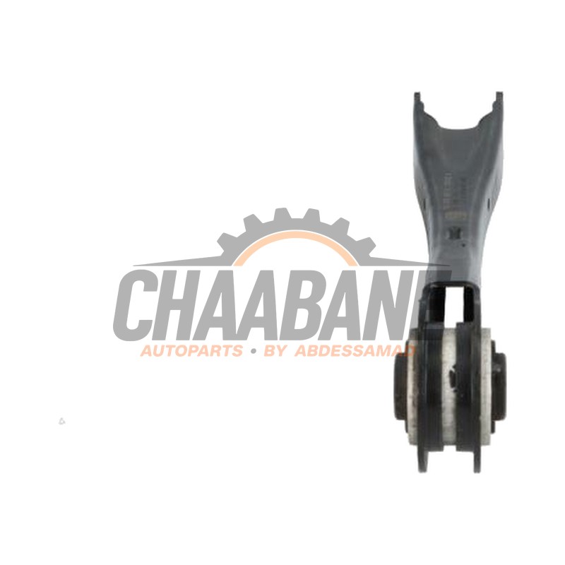 Bras de suspension arriere droit Cupra Born 58 2021 1EA505291A