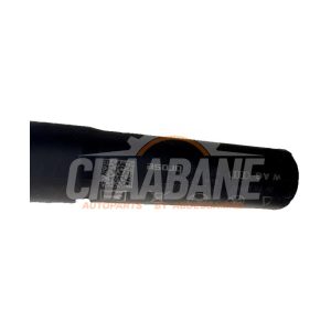 Amortisseur a gaz arriere gauche 89E827851 Audi Q4 Sportback (4FN) 35 e-tron 2021